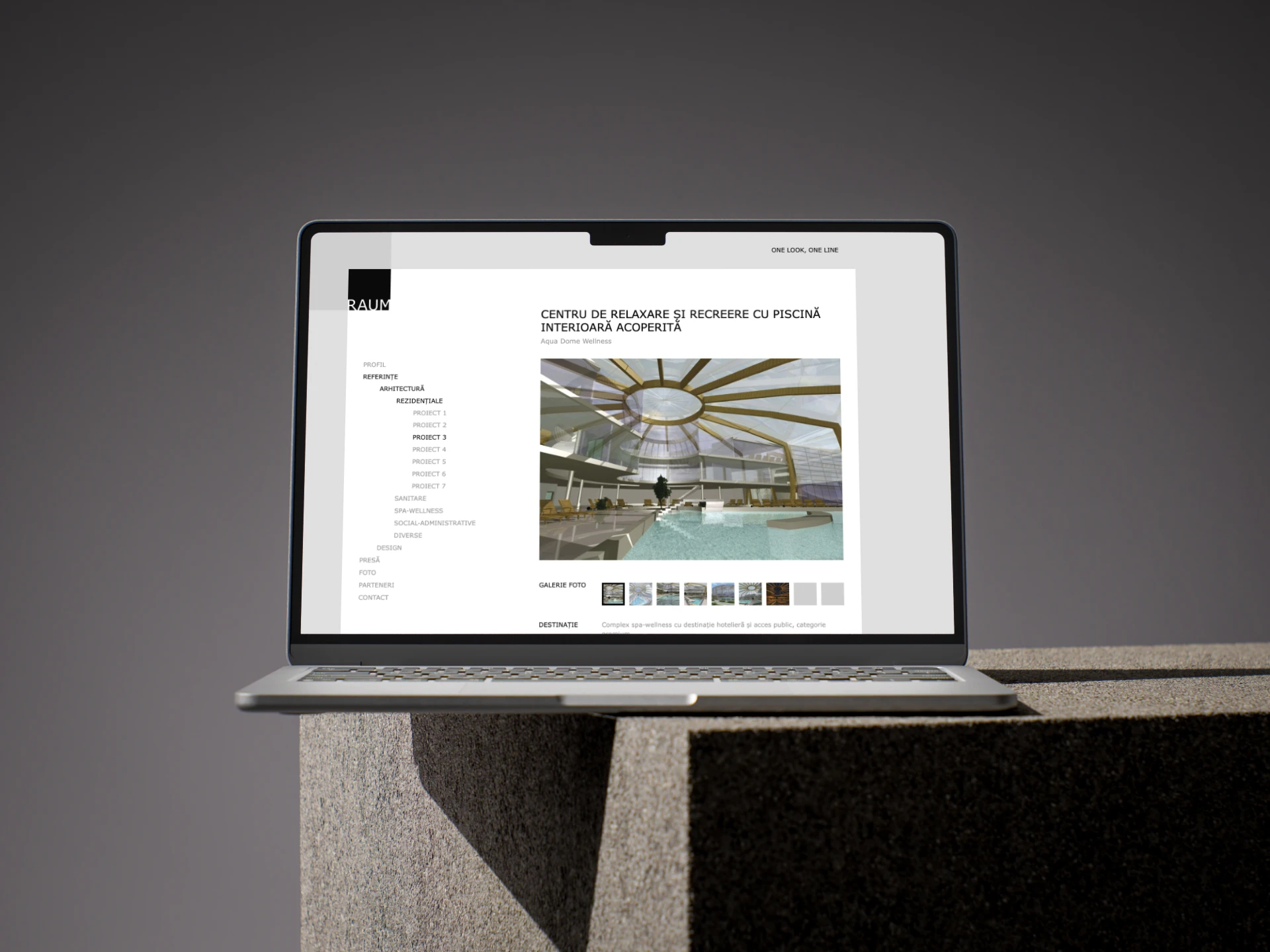 RAUM Website